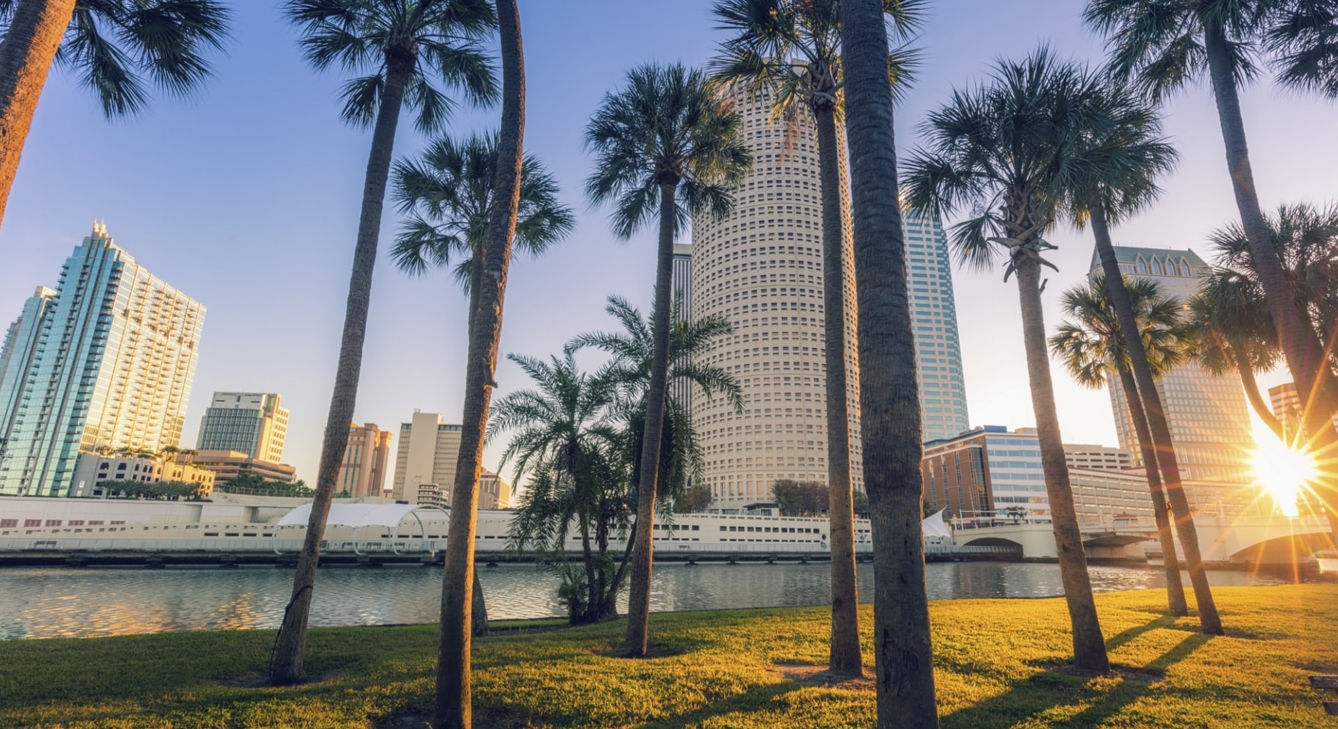 City skyline with palm trees and water view.